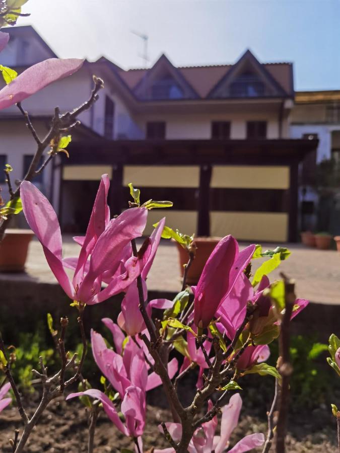 Hotel Edelweiss Laino Borgo エクステリア 写真
