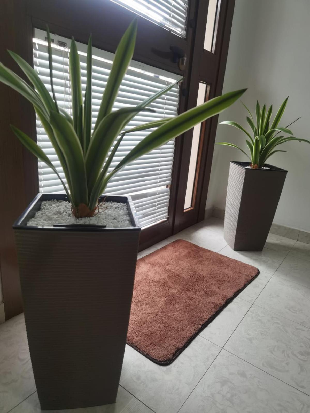 Hotel Edelweiss Laino Borgo エクステリア 写真